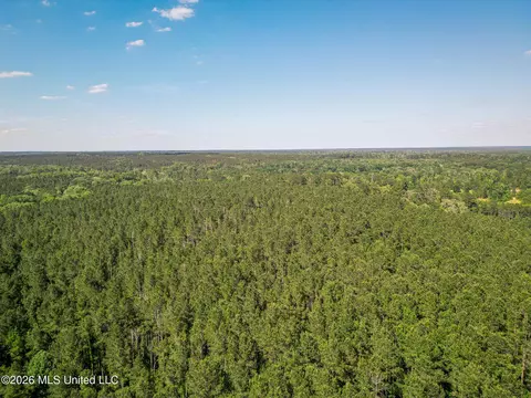 0 Graves Rd, Liberty, MS 39645 photo 42