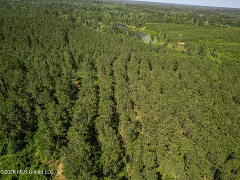 0 Graves Rd, Liberty, MS 39645 photo 41