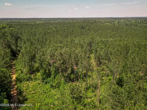 0 Graves Rd, Liberty, MS 39645 photo 34