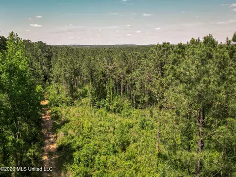 0 Graves Rd, Liberty, MS 39645 photo 33