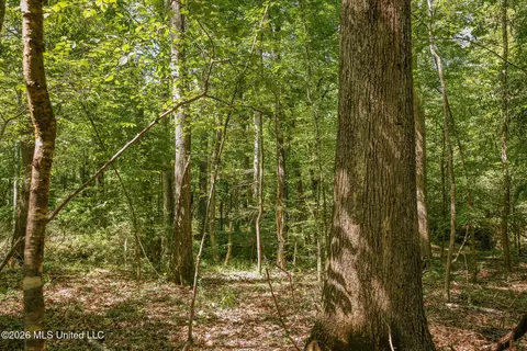 0 Graves Rd, Liberty, MS 39645 photo 24