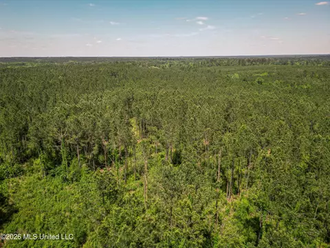 0 Graves Rd, Liberty, MS 39645 photo 35