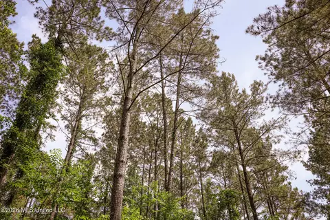 0 Graves Rd, Liberty, MS 39645 photo 14