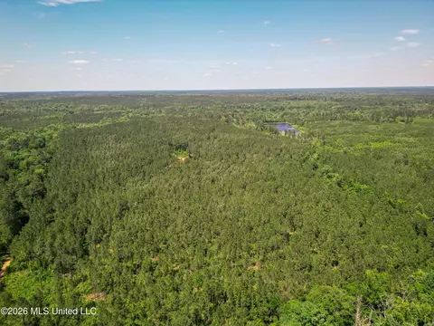 0 Graves Rd, Liberty, MS 39645 photo 38