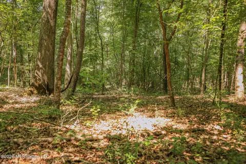 0 Graves Rd, Liberty, MS 39645 photo 29