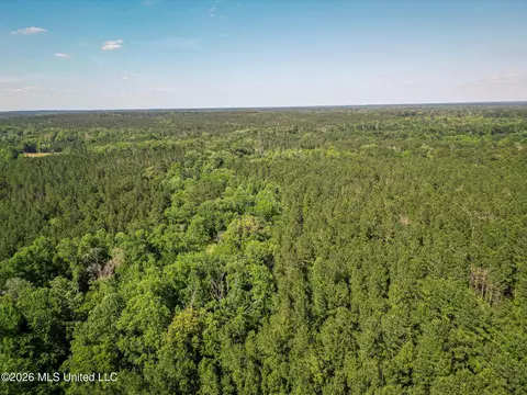 0 Graves Rd, Liberty, MS 39645 photo 43