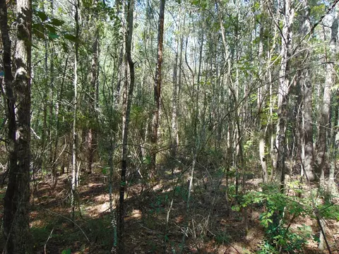 1005 Spring Hill Rd, Wesson, MS 39191 photo 32
