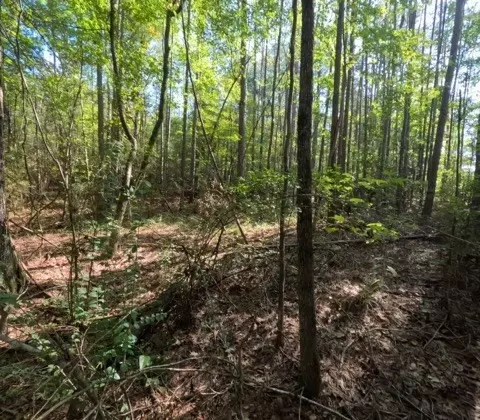 1005 Spring Hill Rd, Wesson, MS 39191 photo 48