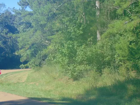 1005 Spring Hill Rd, Wesson, MS 39191 photo 27