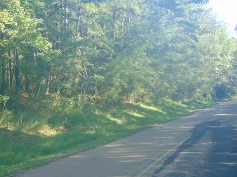 1005 Spring Hill Rd, Wesson, MS 39191 photo 17