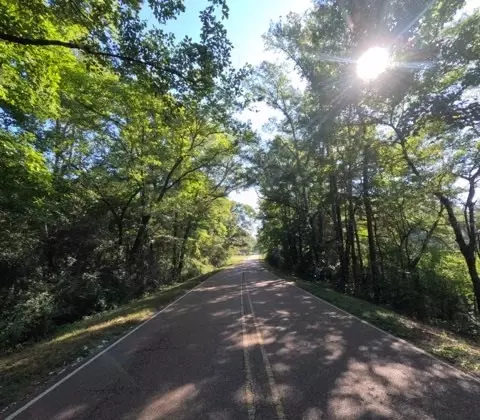 1005 Spring Hill Rd, Wesson, MS 39191 photo 36