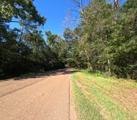 1005 Spring Hill Rd, Wesson, MS 39191 photo 25