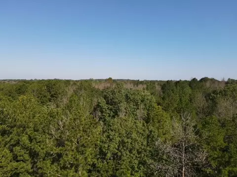 1005 Spring Hill Rd, Wesson, MS 39191 photo 6