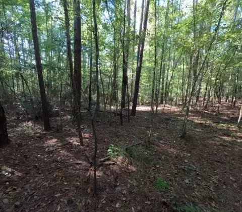 1005 Spring Hill Rd, Wesson, MS 39191 photo 49