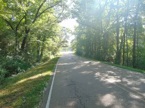1005 Spring Hill Rd, Wesson, MS 39191 photo 11