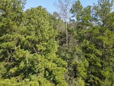 1005 Spring Hill Rd, Wesson, MS 39191 photo 24