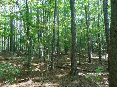 1005 Spring Hill Rd, Wesson, MS 39191 photo 9