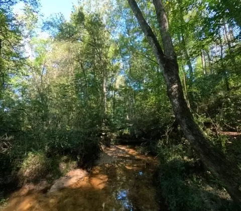 1005 Spring Hill Rd, Wesson, MS 39191 photo 43