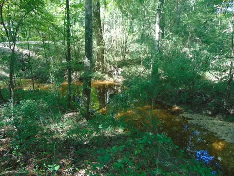 1005 Spring Hill Rd, Wesson, MS 39191 photo 28
