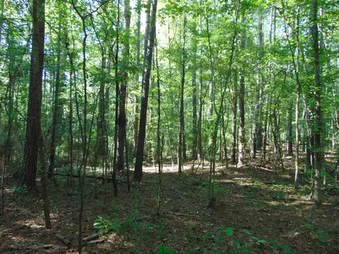 1005 Spring Hill Rd, Wesson, MS 39191 photo 15