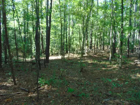 1005 Spring Hill Rd, Wesson, MS 39191 photo 29