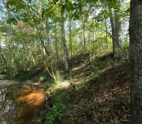 1005 Spring Hill Rd, Wesson, MS 39191 photo 40