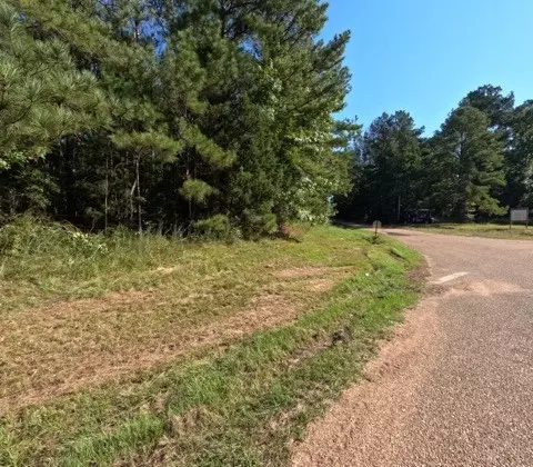 1005 Spring Hill Rd, Wesson, MS 39191 photo 35