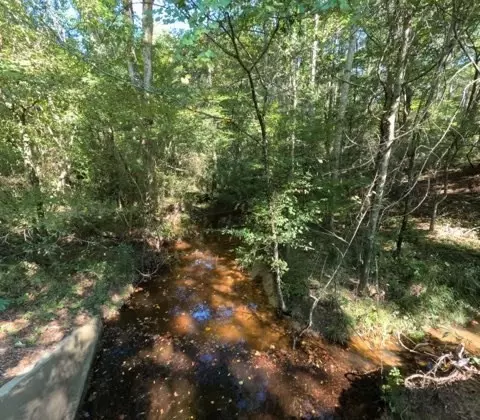 1005 Spring Hill Rd, Wesson, MS 39191 photo 37