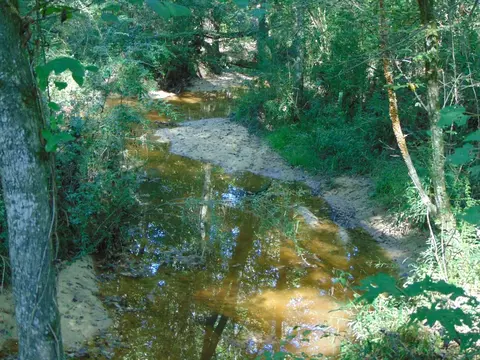 1005 Spring Hill Rd, Wesson, MS 39191 photo 13