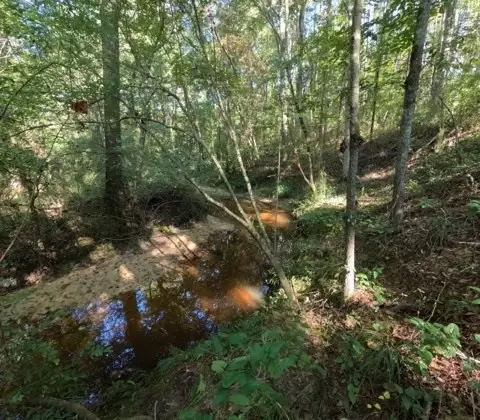 1005 Spring Hill Rd, Wesson, MS 39191 photo 39