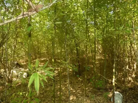 4004 Hwy 98 E, Mccomb, MS 39648 photo 6