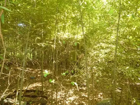 4004 Hwy 98 E, Mccomb, MS 39648 photo 5