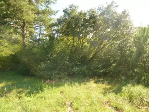 4004 Hwy 98 E, Mccomb, MS 39648 photo 2