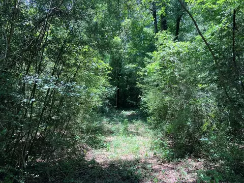 Hwy 48, Sandy Hook, MS 39667