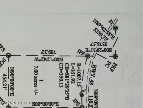 Hwy 48, Sandy Hook, MS 39667 photo 12