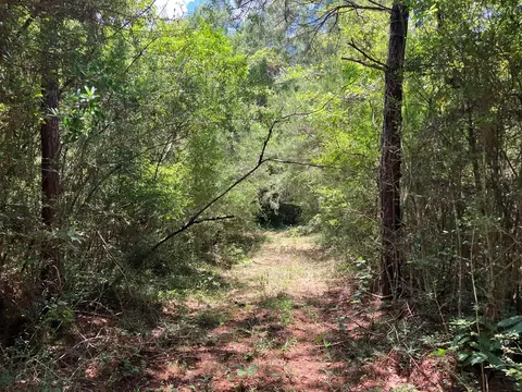 Hwy 48, Sandy Hook, MS 39667 photo 3