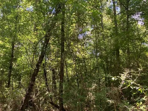 Hwy 48, Sandy Hook, MS 39667 photo 5