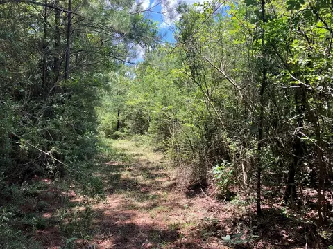 Hwy 48, Sandy Hook, MS 39667 photo 2