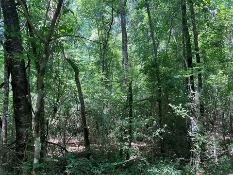 Hwy 48, Sandy Hook, MS 39667 photo 8