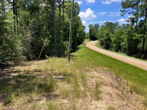 Hwy 48, Sandy Hook, MS 39667 photo 11
