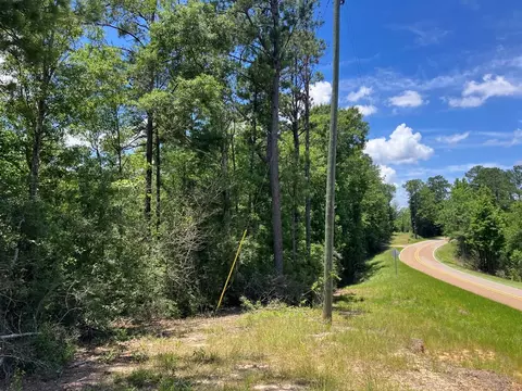 Hwy 48, Sandy Hook, MS 39667 photo 10