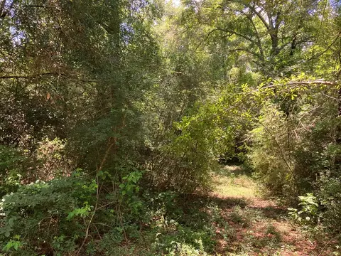 Hwy 48, Sandy Hook, MS 39667 photo 4