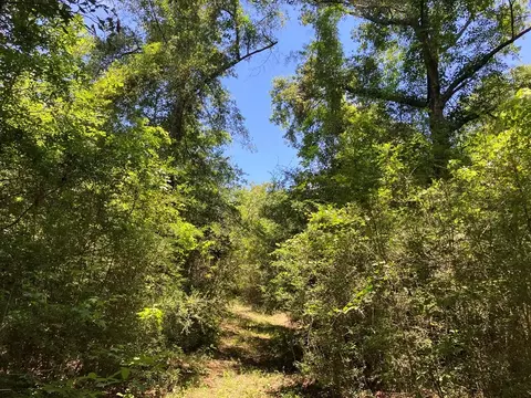 Hwy 48, Sandy Hook, MS 39667 photo 9