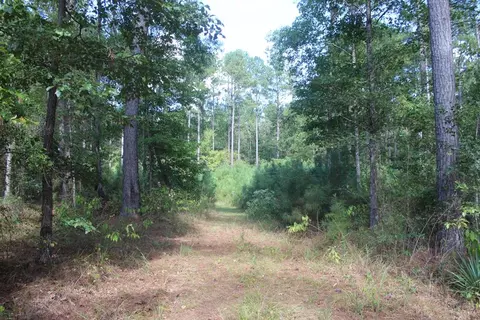 0000 River Road Dr SE, Bogue Chitto, MS 39629