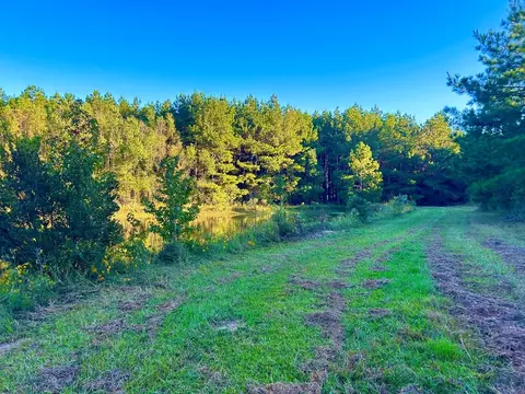 tbd Highway 569, Smithdale, MS 39664 photo 32