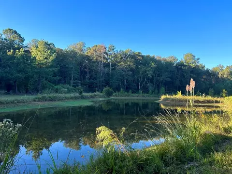 tbd Highway 569, Smithdale, MS 39664 photo 7