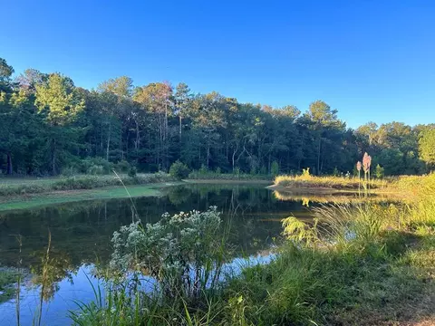 tbd Highway 569, Smithdale, MS 39664