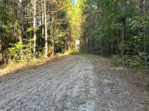 tbd Highway 569, Smithdale, MS 39664 photo 17