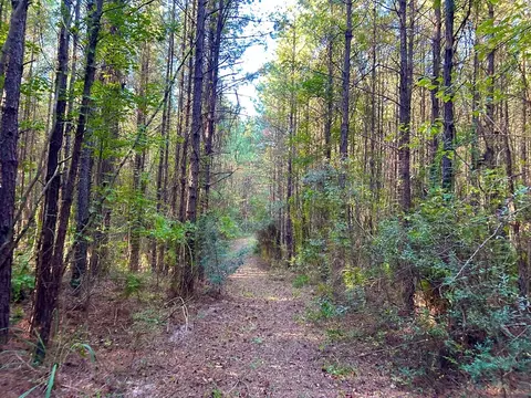 tbd Highway 569, Smithdale, MS 39664 photo 25