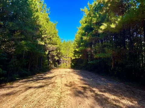 tbd Highway 569, Smithdale, MS 39664 photo 11